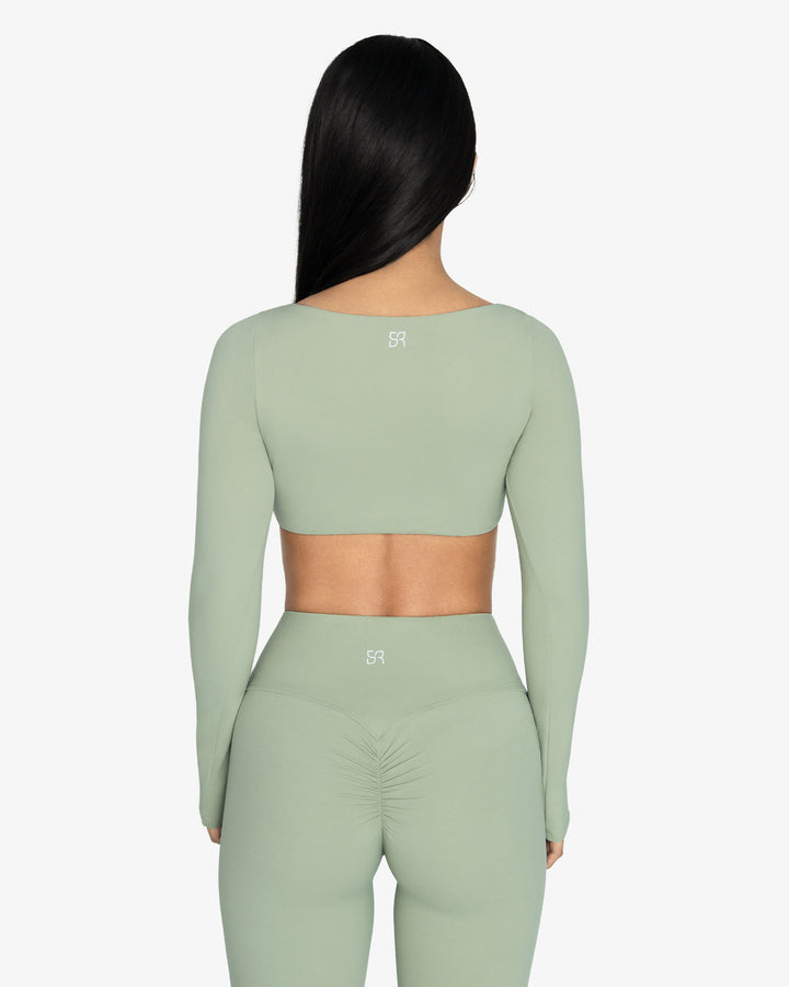 Back | Sage Flow